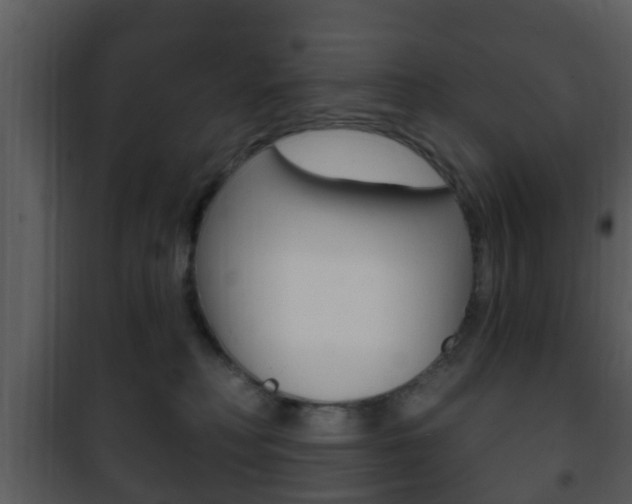 X0000101980230200807180808