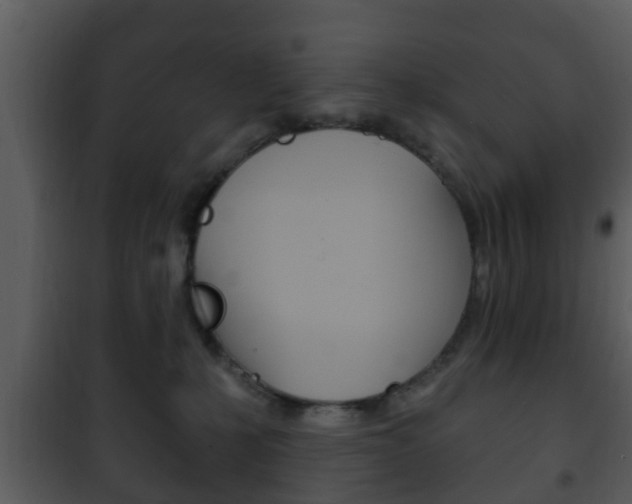 X0000101980231200807180808