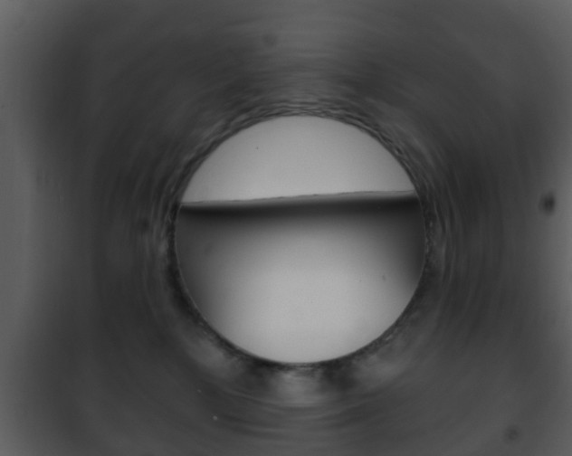 X0000101980232200807180808