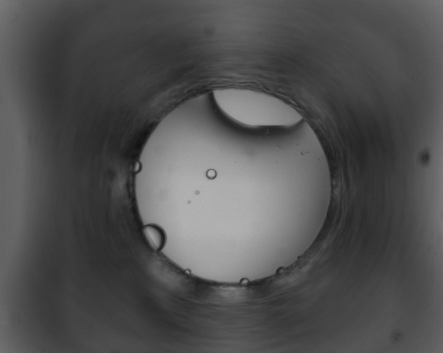 X0000101980233200807180808