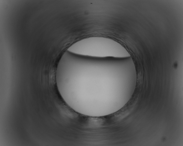 X0000101980234200807180808