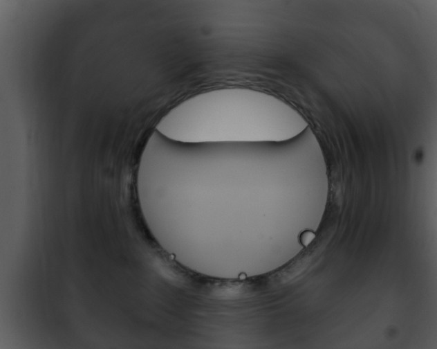 X0000101980235200807180808