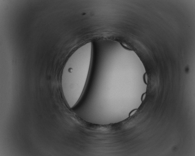 X0000101980236200807180808