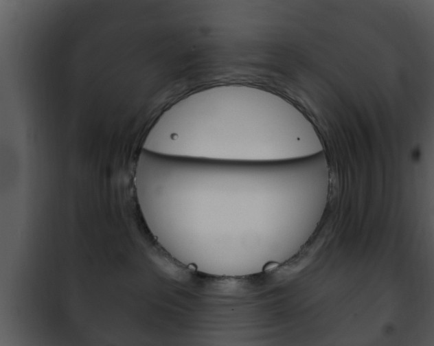 X0000101980237200807180808