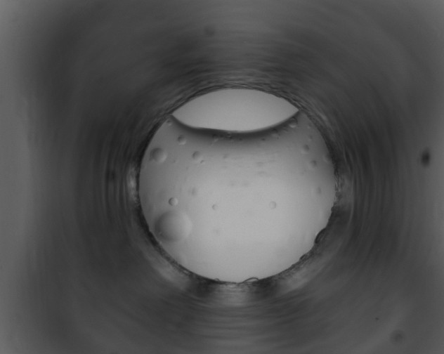 X0000101980238200807180808