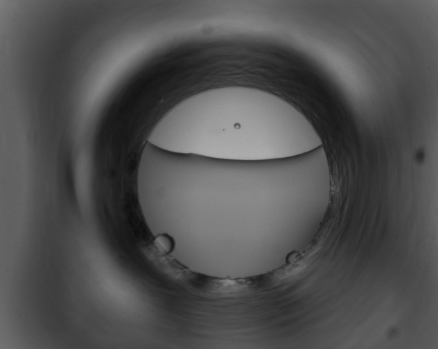 X0000101980239200807180808