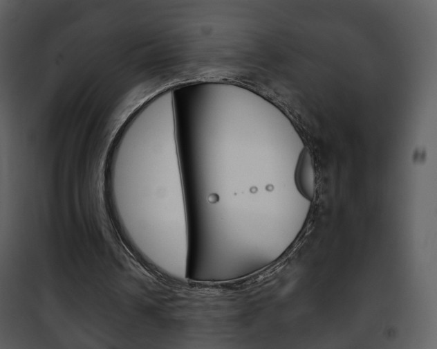 X0000101980242200807180807