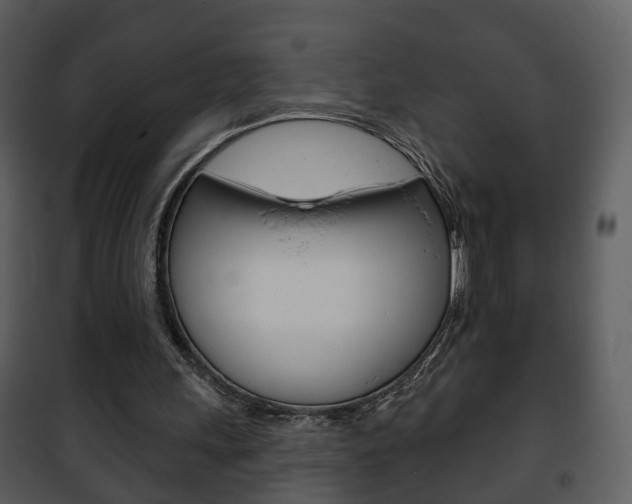 X0000101980243200807180807