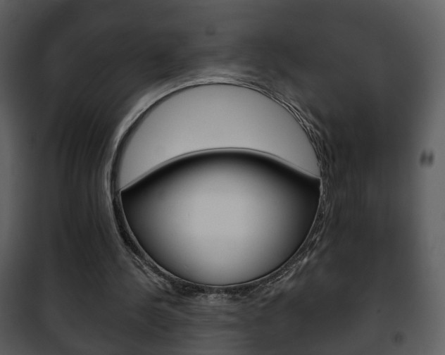 X0000101980244200807180807