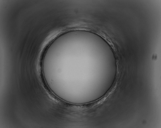 X0000101980245200807180807