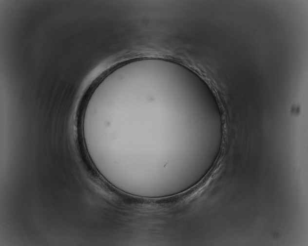 X0000101980246200807180807