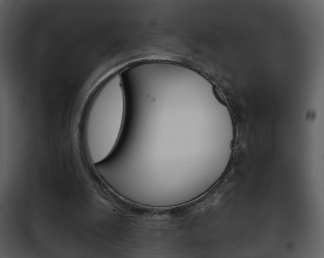 X0000101980247200807180807