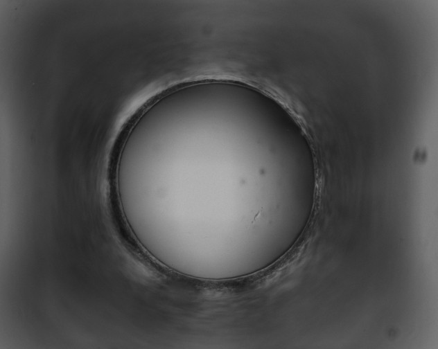 X0000101980248200807180807