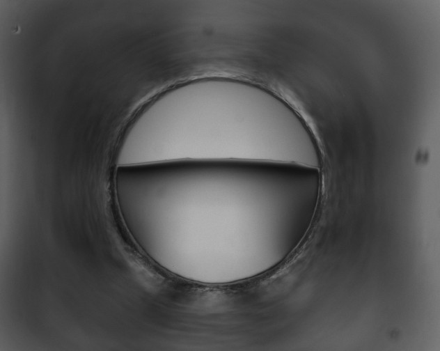 X0000101980249200807180807