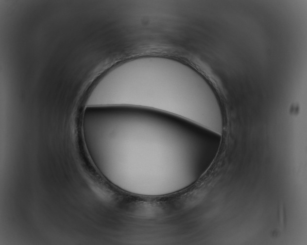 X0000101980250200807180807