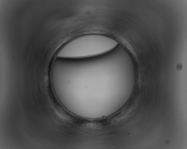 X0000101980251200807180807