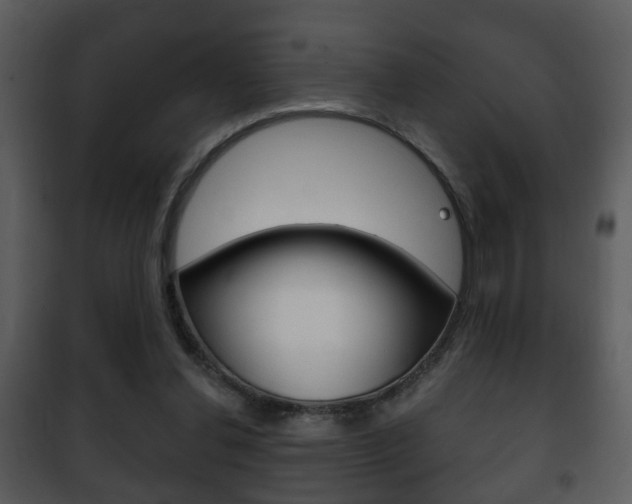 X0000101980252200807180807