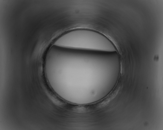 X0000101980253200807180807