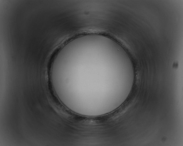 X0000101980254200807180807