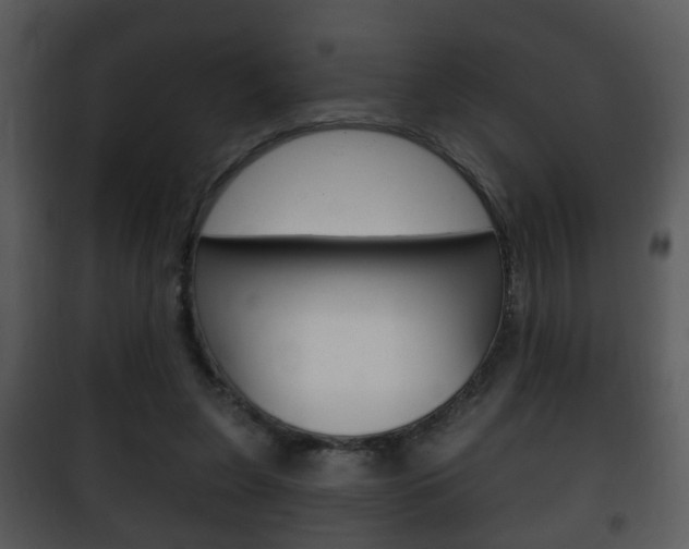 X0000101980255200807180807