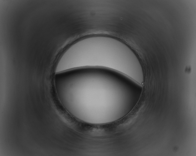 X0000101980256200807180807