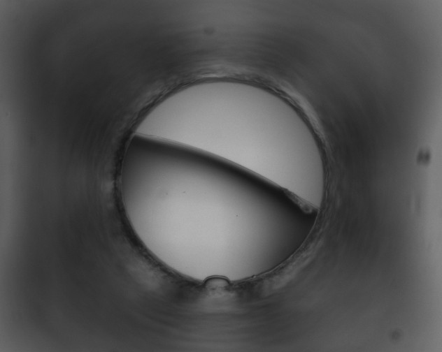 X0000101980257200807180807