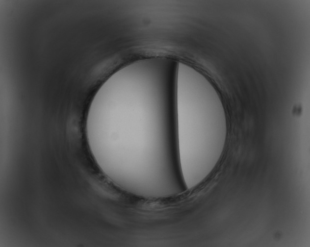 X0000101980258200807180807