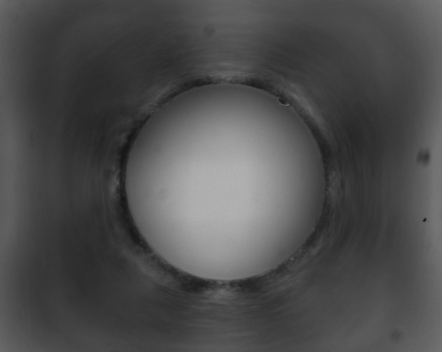 X0000101980259200807180807