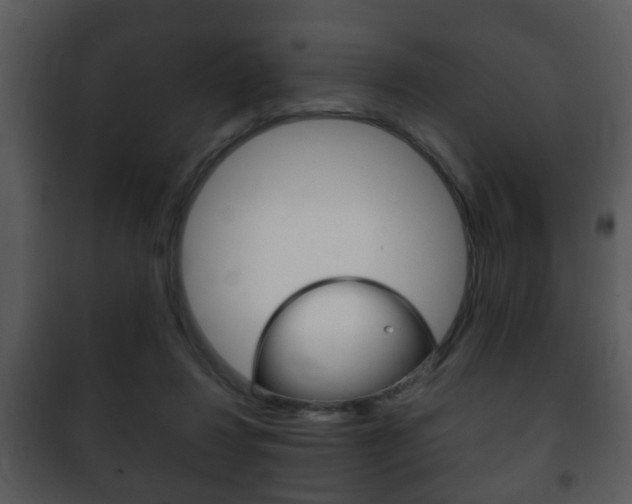 X0000101980260200807180807