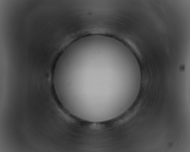 X0000101980261200807180807