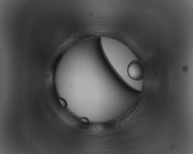 X0000101980262200807180807