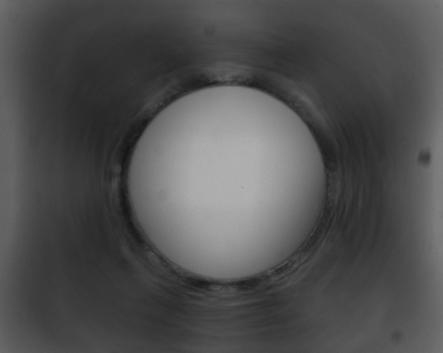 X0000101980263200807180807