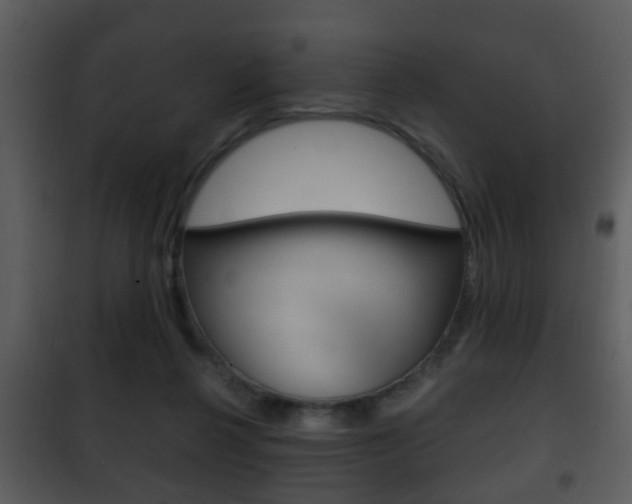 X0000101980264200807180807