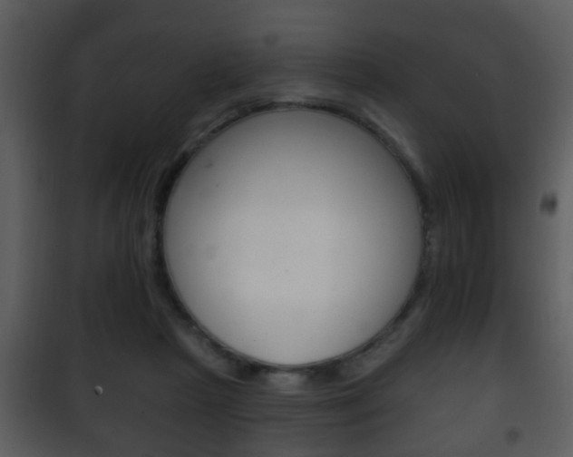 X0000101980265200807180807