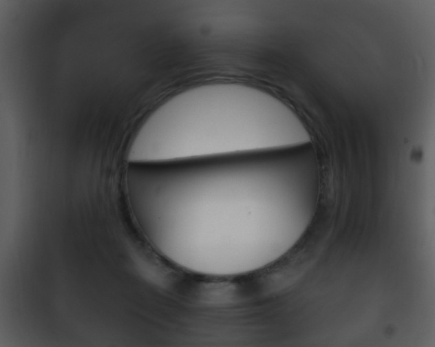 X0000101980266200807180807