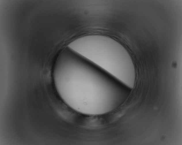 X0000101980267200807180807