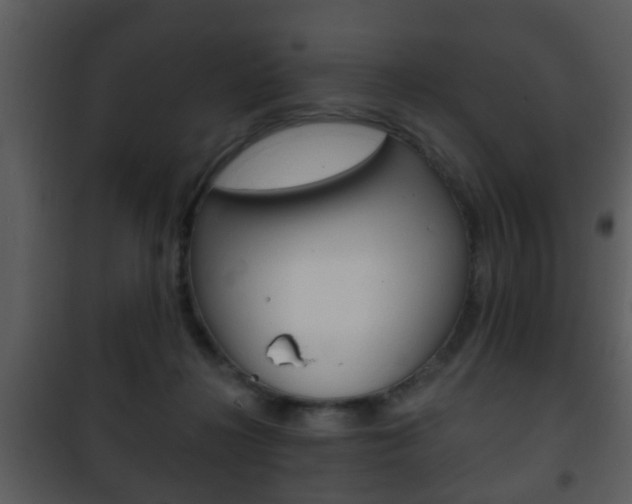 X0000101980268200807180807