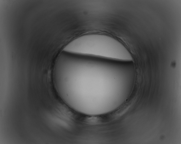 X0000101980269200807180807