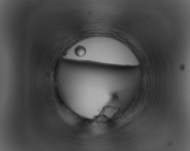 X0000101980270200807180807