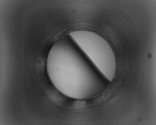 X0000101980271200807180807