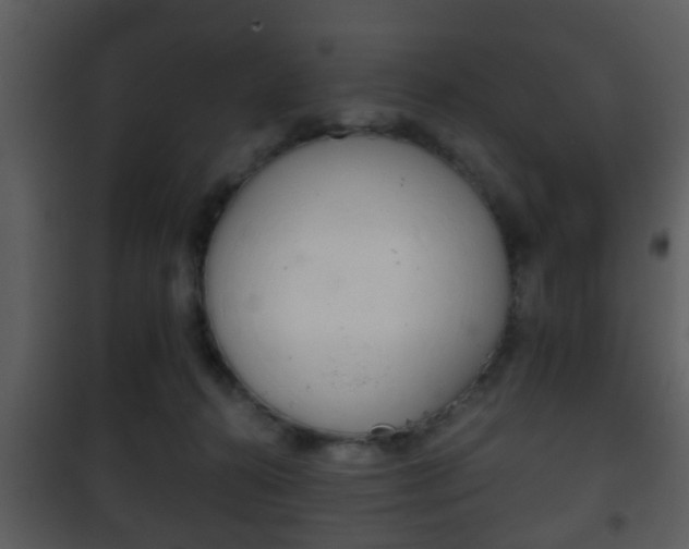 X0000101980272200807180807