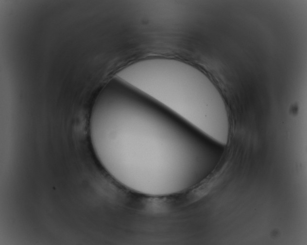 X0000101980273200807180807