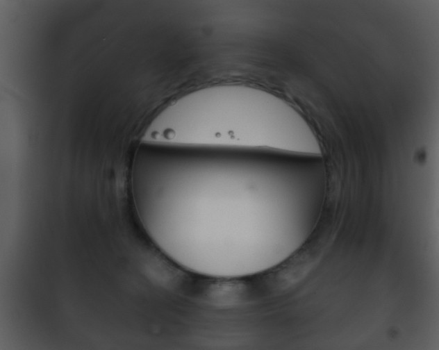 X0000101980274200807180807