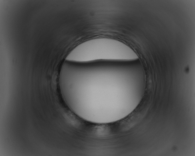 X0000101980275200807180807