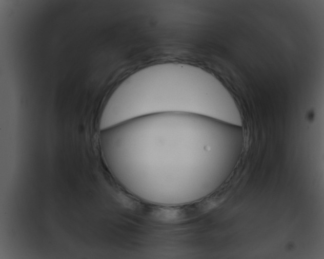 X0000101980276200807180807