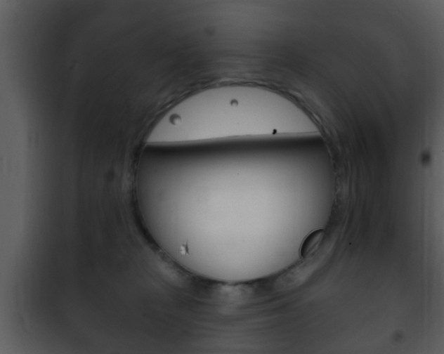 X0000101980277200807180807