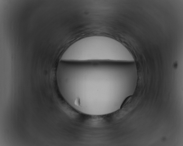 X0000101980278200807180807