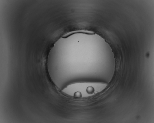 X0000101980279200807180807