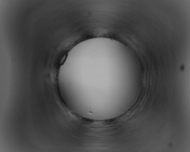 X0000101980280200807180807