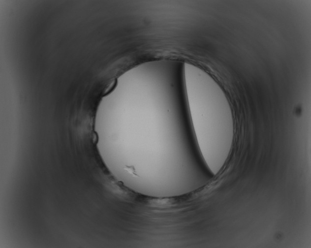 X0000101980281200807180807